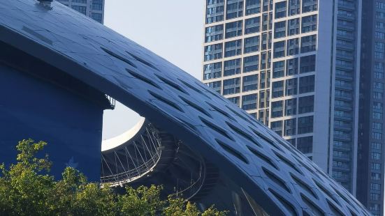 深圳湾公园是深圳湾的一处滨水休闲景观带，沿海岸线长约11公里