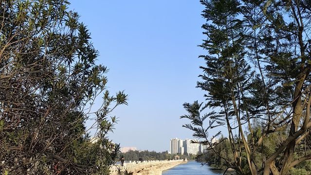 an ping qiao ( wu li qiao )