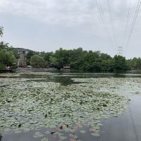 評論圖片 2