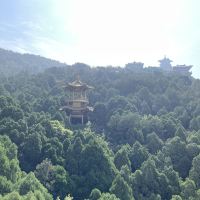 評論圖片 1