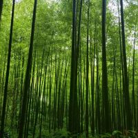 評論圖片 2