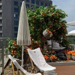 sea front terrace張用戶圖片