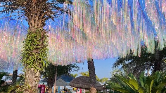 Maowei Sea National Marine Park