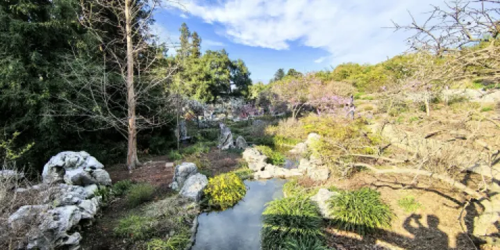 The Chinese Tea House