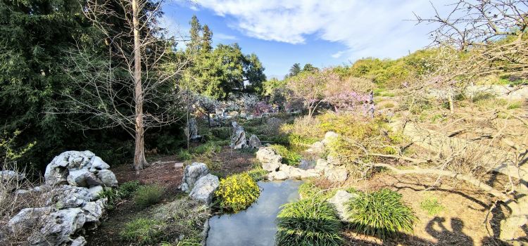The Chinese Tea House