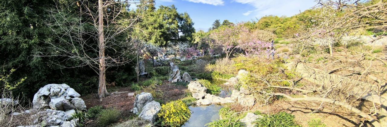 The Chinese Tea House