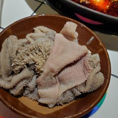 麻子婆娘串串香張用戶圖片