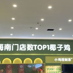 椰小鸡·椰子鸡(金鹿城店) User Photo