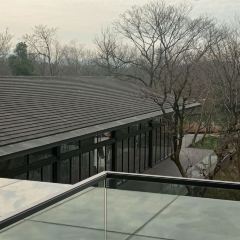 Xi Yin User Photo