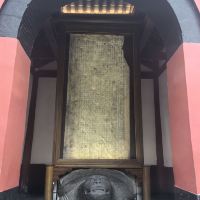 評論圖片 2