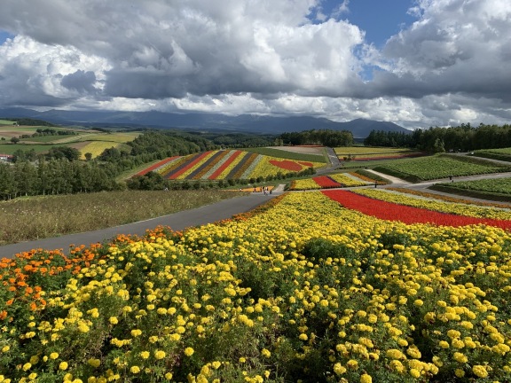 Panoramic Flower Gardens Shikisai-no-oka Tickets [2026] - Promos