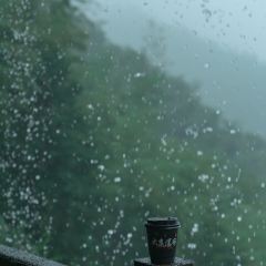 YUNYA COFFEE User Photo