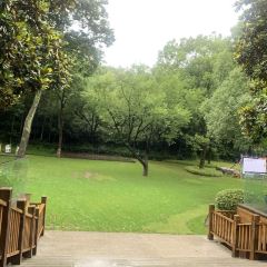 天目湖御水温泉·度假酒店·西餐厅 User Photo