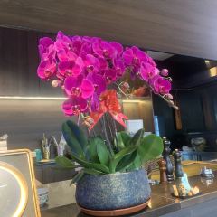 浅草居酒屋（五彩城店） User Photo