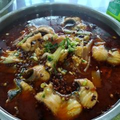 乘风鱼庄 User Photo