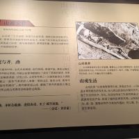 評論圖片 2