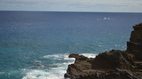 夏威夷的海特别美，而且美的不同！恐龙湾(Hanauma Ba