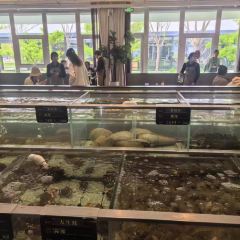 CHANGY SEAFOOD User Photo