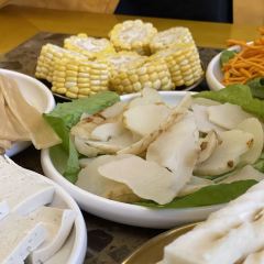 Tamura • Shipot Tibetan Chicken User Photo