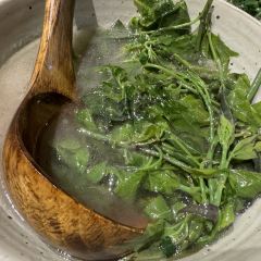多依树下餐厅 User Photo