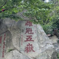 評論圖片 5