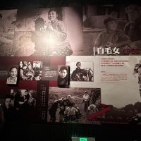 評論圖片 6