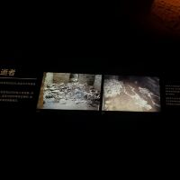 評論圖片 3