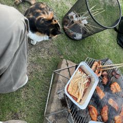 北野cafe&camping User Photo
