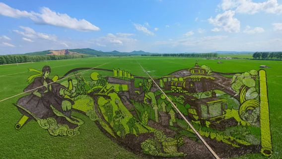 Dream Rice Wusu Agricultural Park