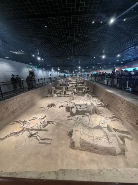 最新】天子駕六博物館 - チケット、営業時間、口コミ、写真 [2026年