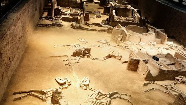 zhou wang cheng tian zi jia liu bo wu guan ( fen guan )