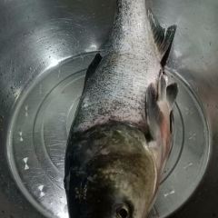 金华晟酒楼(东方华座店) 여행 사진
