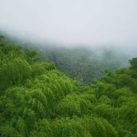 評論圖片 1
