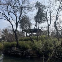 評論圖片 4