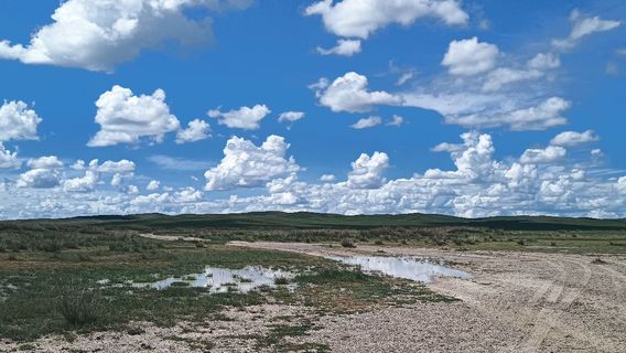 Bayanchagan Nainaori