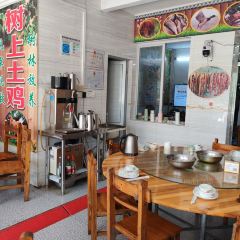树上土鸡 User Photo