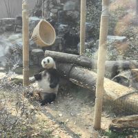 評論圖片 2