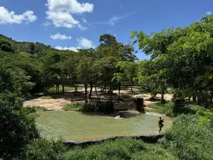 Samui Elephant Kingdom Sanctuary