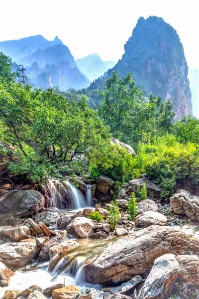 Damaoshan Scenic Area