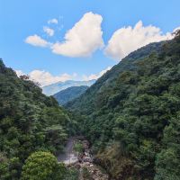評論圖片 3