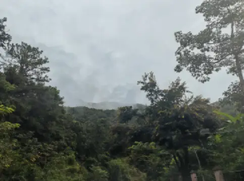 jing gu re dai yu lin gong yuan