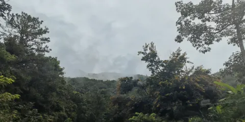 景谷熱帶雨林公園