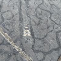 評論圖片 5