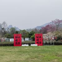 評論圖片 5
