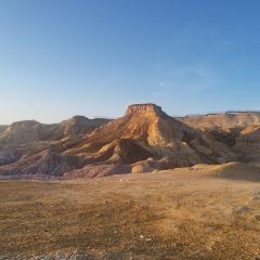 煲来饱去冷水鱼 User Photo