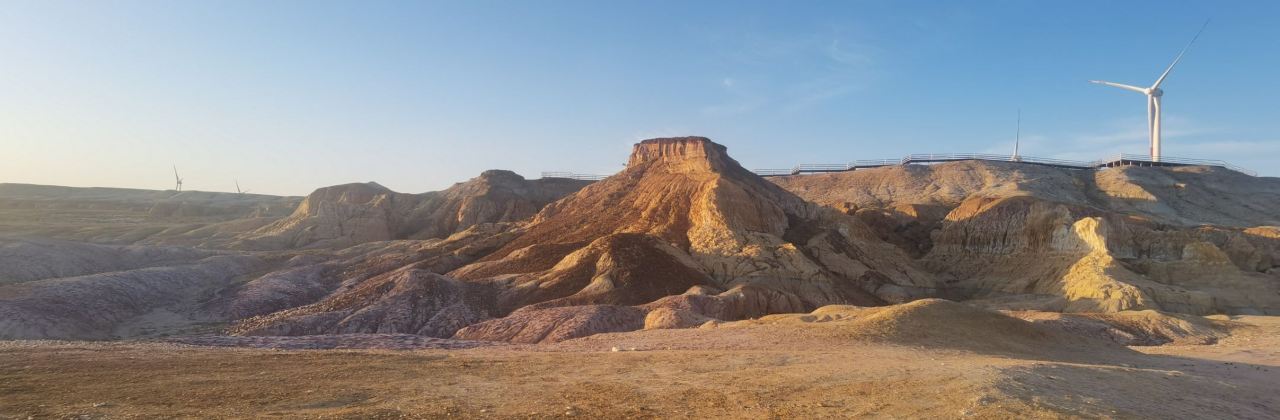 煲来饱去冷水鱼