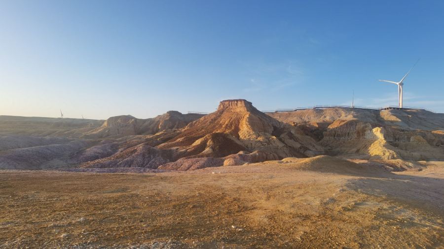 煲来饱去冷水鱼