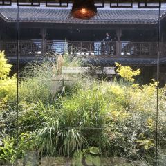 一尺花园(南园店) User Photo