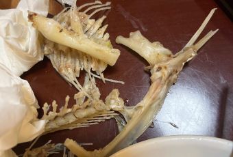 满园香农家饭庄 User Photo