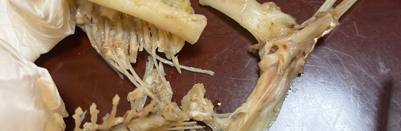 滿園香農家飯莊